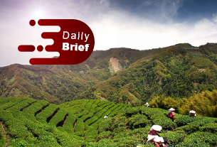 Shanghai to lock down millions for mass testing; Unemployed tour guides taking tea-picking jobs | Daily Brief