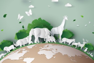 Tourism website Qyer promotes animal-friendly experience