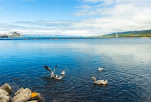 China to establish national park at Qinghai Lake