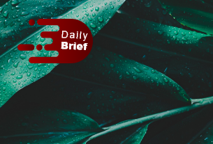State travel giant sees 14% drop in revenue; China plans easier border entry rules | Daily Brief