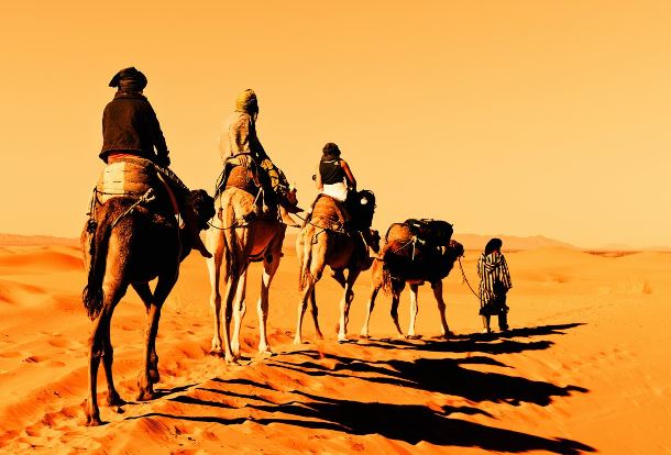 Desert tourist attractions fuel travel enthusiasm in Northwestern Ningxia