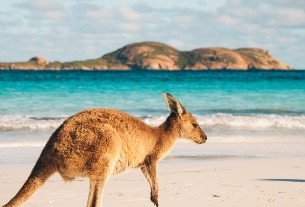 Australia hopes China to be its top tourism market again, says tourism chief