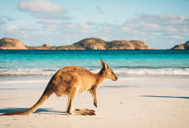 Chinese tourism to Australia struggles post-pandemic despite visa changes
