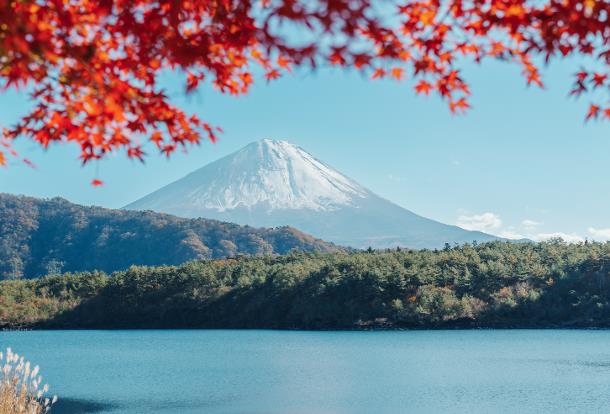 Why Chinese tourists are turning away from Thailand and heading to Japan?
