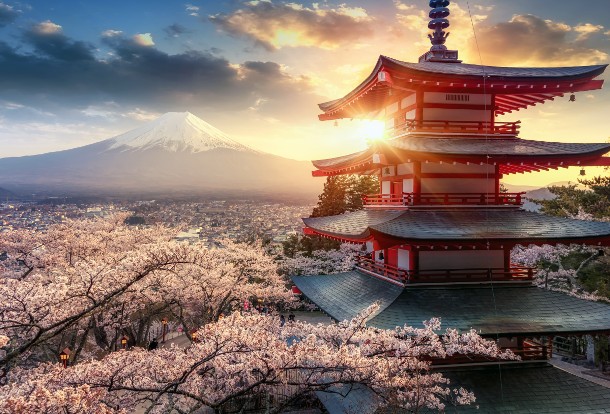 China travel slowdown weighs on Japan as Chinese spending and arrivals slide